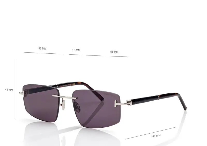 SQUARE TITANIUM AND HORN SUNGLASSES online